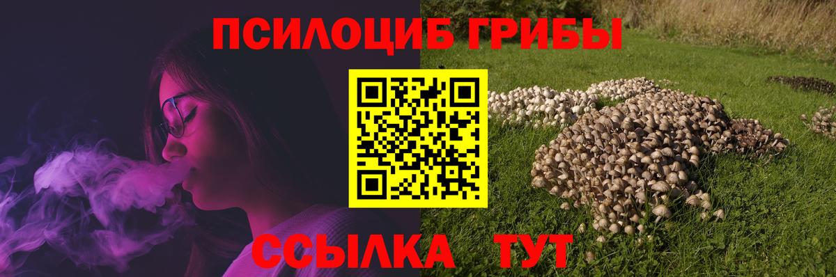 Псилоцибиновые грибы Magic Shrooms  Вход с VPN  Галлюциногенные грибы мухоморы  хочу   Чистополь 