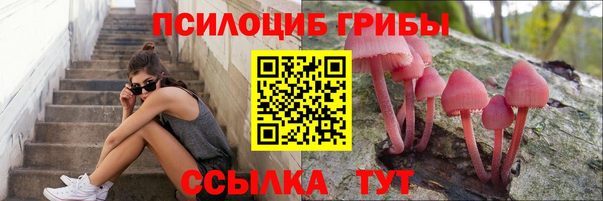 Псилоцибиновые грибы мухоморы Чистополь